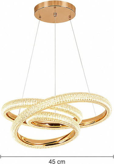 Adjustable Gold LED Ceiling Light With Warm White Light PA-135-GOLD