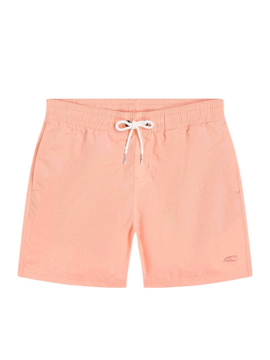 O'Neill 4800095 O'Neill 4800095