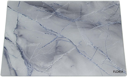 Schneidebrett Glas Transparent 25x35cm
