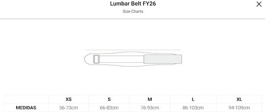 Picsil Lumbar Belt Fy26 Weightlifting Belt – Moonless