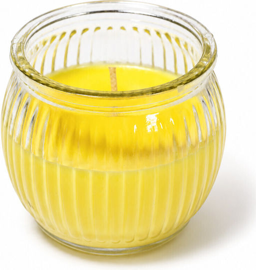 Viosarp Insektenschutzmittel Kerze für Mücken 85g