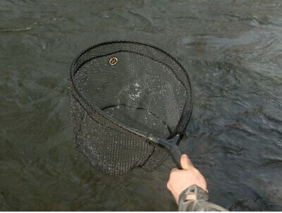 Delphin Shorx Spinning Plasă de pescuit 45 X 35 Cm 25 Cm Adâncime Plasă cauciucată