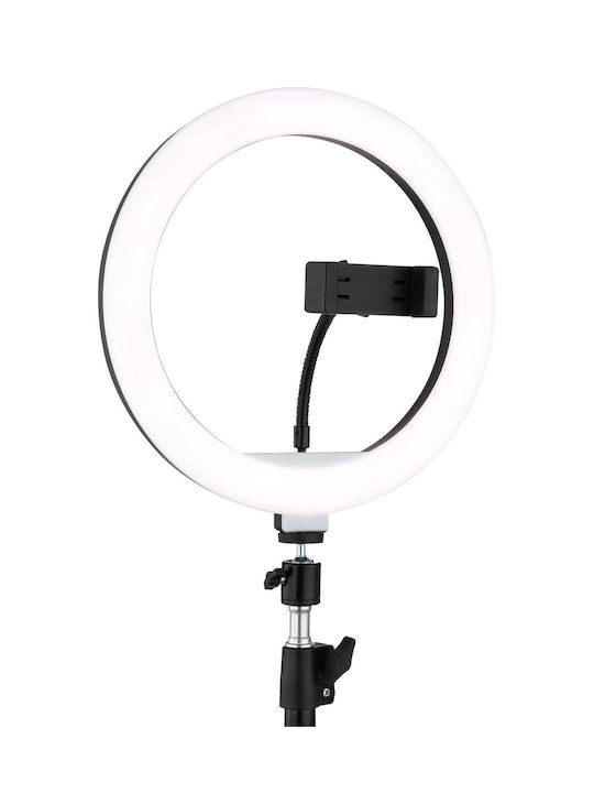 Globo Lighting Подова лампа Черна
