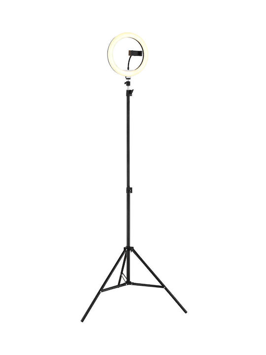 Globo Lighting Подова лампа Черна