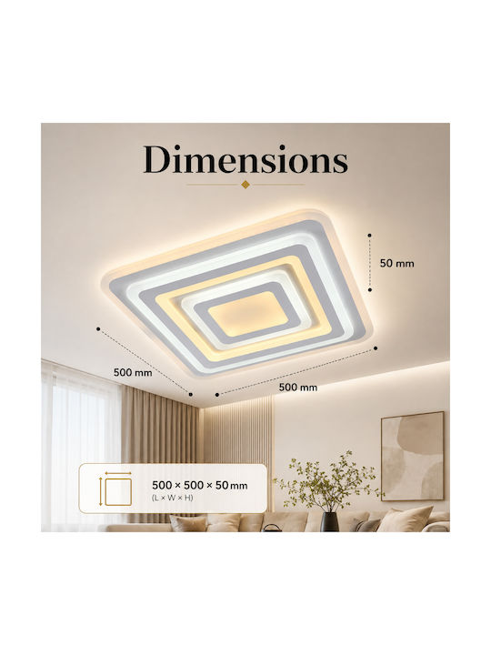 Lightplanet Ceiling Mount Light with Integrated LED