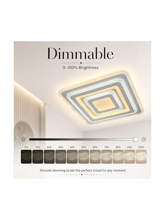Lightplanet Ceiling Mount Light with Integrated LED