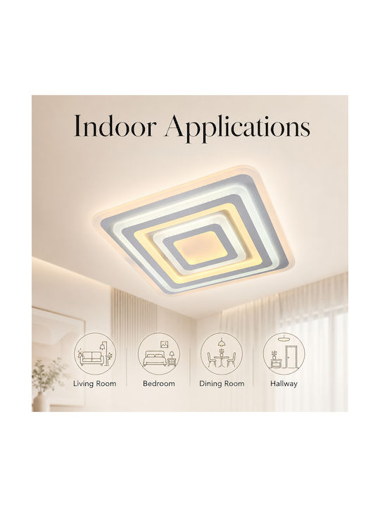 Lightplanet Ceiling Mount Light with Integrated LED