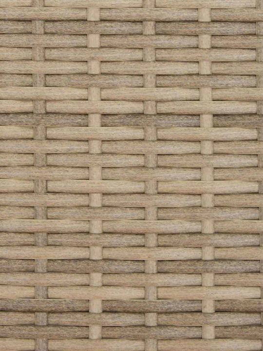 Γωνιακός Καναπές Εξωτερικού Χώρου Rattan
