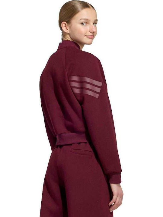 adidas Kinder-Sweatshirt Maroon