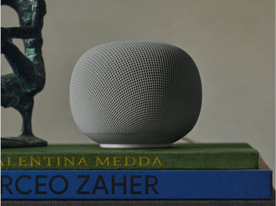 Google Smart Hub Bluetooth / Faden Kompatibel mit Google Home & Materie