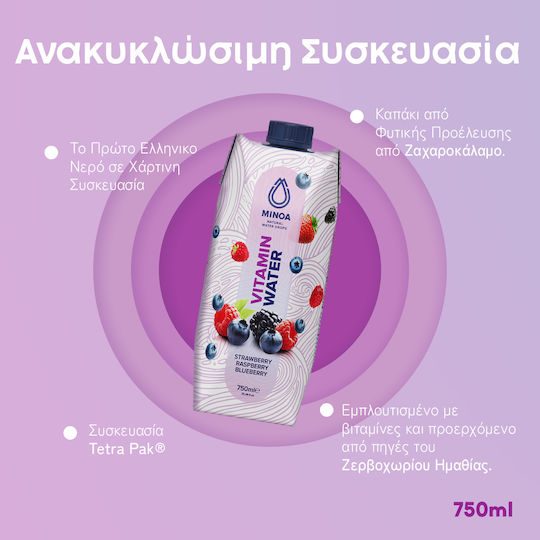 Minoa Water Paper Vitamin Water 12x0.75lt
