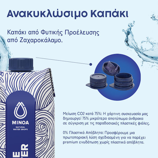 Minoa Water Apă Îmbuteliată 24x0.33lt