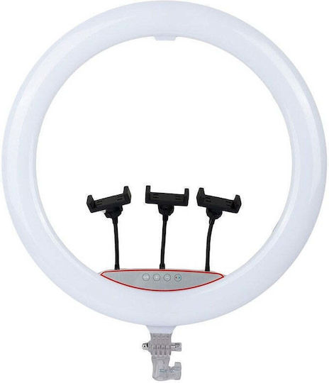 RGB Ring Light 56cm and Mobile Phone Holder