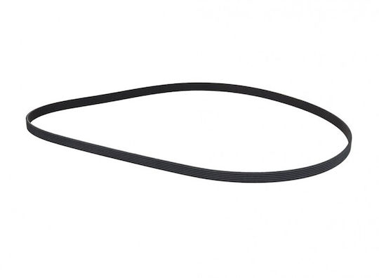 OE PSA Micro-v Riemen Citroen Jumper 21 9809996880