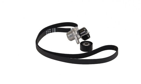 Renault Master Micro-v Gürtel Iii 10 + Tenzontüren 2.3dci Set 7pk1751 117202056r