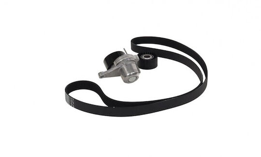Renault Master Micro-v Gürtel Iii 10 + Tenzontüren 2.3dci Set 7pk1751 117202056r