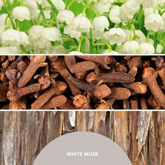 Millefiori Diffusor Duftstäbchen Weißer Moschus 77mdmb 100ml