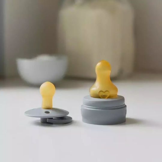 Bibs Babyflaschensauger für 0+ Monate 2Stück