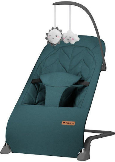 Tulano Relax Babywippen Schaukel Grün für Kind bis 9kg
