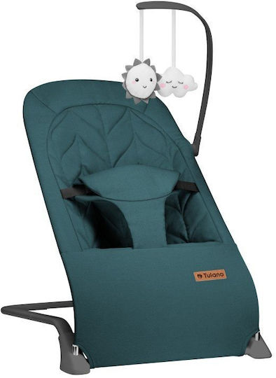Tulano Baby Bouncer Swing Green for Child up to 9kg