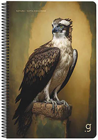 Gipta Spiral School Notebook Ruled B5 75 Paper Sheets 3 Subjects Natura (Various Designs or Colours) 3-55-37