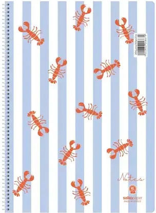 Salko Paper Spiral Ruled Notebook 120 Paper Sheets 2 Subjects