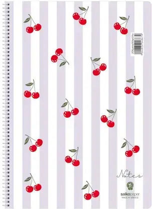 Salko Paper Spiral Ruled Notebook 120 Paper Sheets 2 Subjects