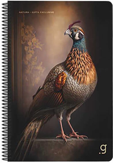 Gipta Spiral Notebook Ruled A4 50 Paper Sheets 2 Subjects (Various Designs or Colours)