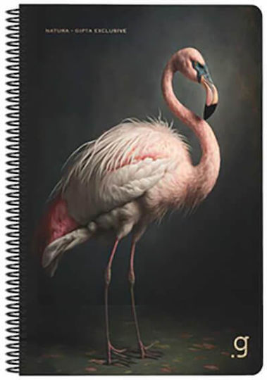 Gipta Spiral Notebook Ruled A4 50 Paper Sheets 2 Subjects (Various Designs or Colours)