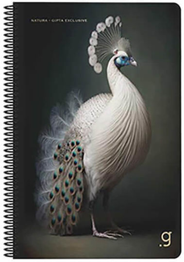 Gipta Spiral Ruled Notebook B5 50 Paper Sheets 2 Subjects Natura (Various Designs or Colours)