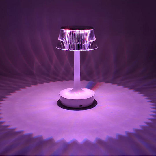 Decorative Lamp LED RGBW 23x12cm