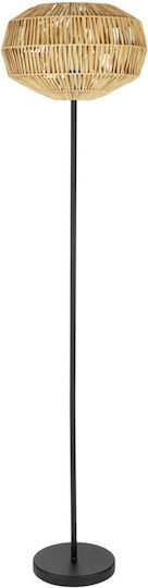 Eglo Sheldon Stehlampe mit Lampenbirnensockel für E27