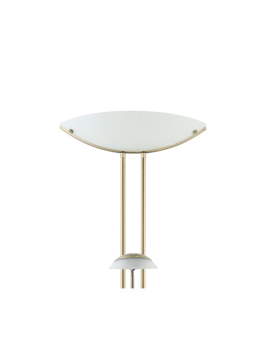 Eglo Baya Floor Lamp Height 180x44cm with Lamp Bulb Base R7S Oxidized