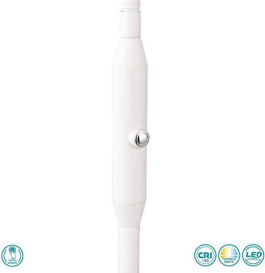 Trio Lighting Monza LED Floor Lamp H145xW50cm. with Natural White Light 1400lm White