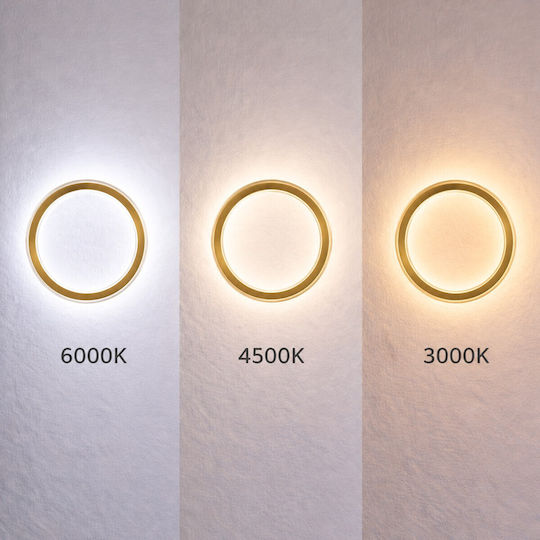 VenCore Lampa de Perete Modernă cu LED Integrat și Lumină Albă Reglabilă Auriu 21x5cm