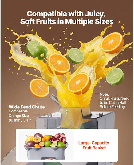 Vevor Juicer 100W