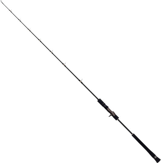 Seahawk Ocean Infinity Deep-j Fishing Rod for Casting / Jigging 1.65m 250gr