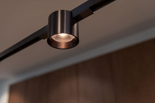 Lucide Lightning Premium Спот