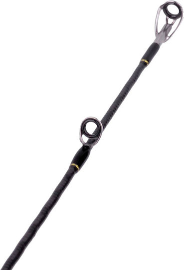 Seahawk Musha Nautilus-J Fishing Rod for Jigging / Slow Jigging 1.83m 80-250gr
