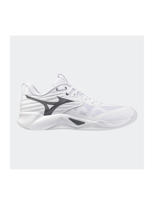 Mizuno