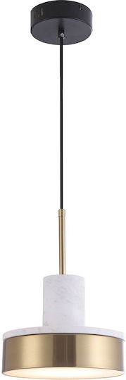 Viokef 42952