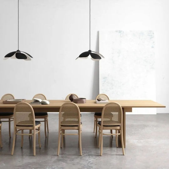Nordlux Maple Lustră Suspendată Negru 19x55x300cm.