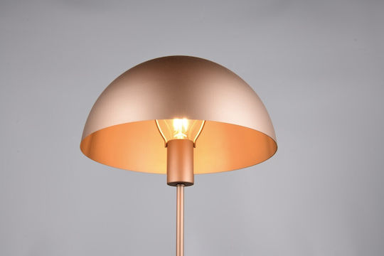 Trio Lighting Metall Tischlampe mit Braun Schirm und Basis