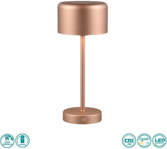 Trio Lighting Μεταλλικό Πορτατίφ LED με Καφέ Καπέλο και Βάση