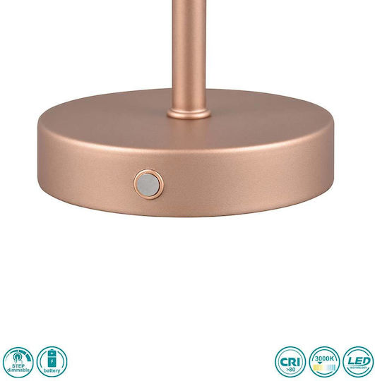 Trio Lighting Μεταλλικό Πορτατίφ LED με Καφέ Καπέλο και Βάση