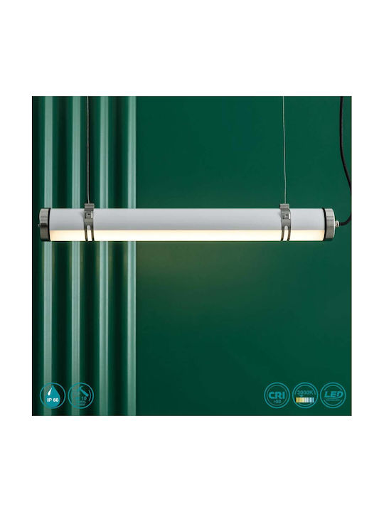 Faro Barcelona Scuba Rezistent la apă Corp de iluminat de Exterior cu LED Integrat în Culoare Alb 75754