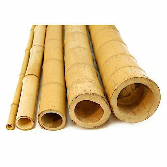 Showood Καλάμι για Περίφραξη Κήπου από Μπαμπού 12x12x300εκ.