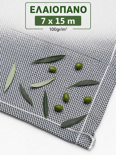 Olive Segel 7x15m Dichte 100gr/m²