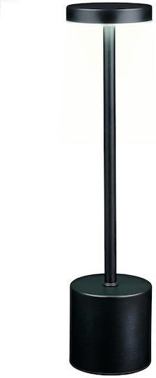 Grundig Lampă Decorativă Alb Natural 8x8x34.5cm Grundig Lampă Decorativă Alb Natural 8x8x34.5cm