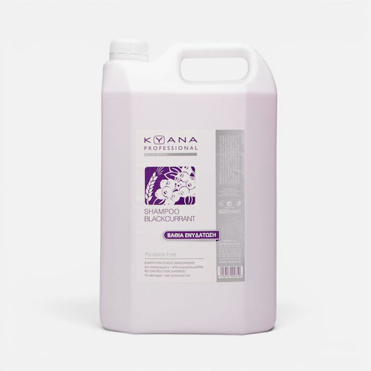 Kyana Black Currant Σαμπουάν Ενυδάτωσης για Όλους τους Τύπους Μαλλιών 5000ml